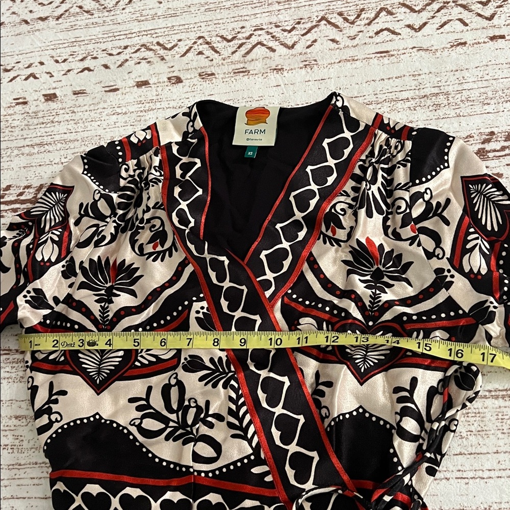 FARM Rio Black and Red Patterned Dress - Picture 8 of 9